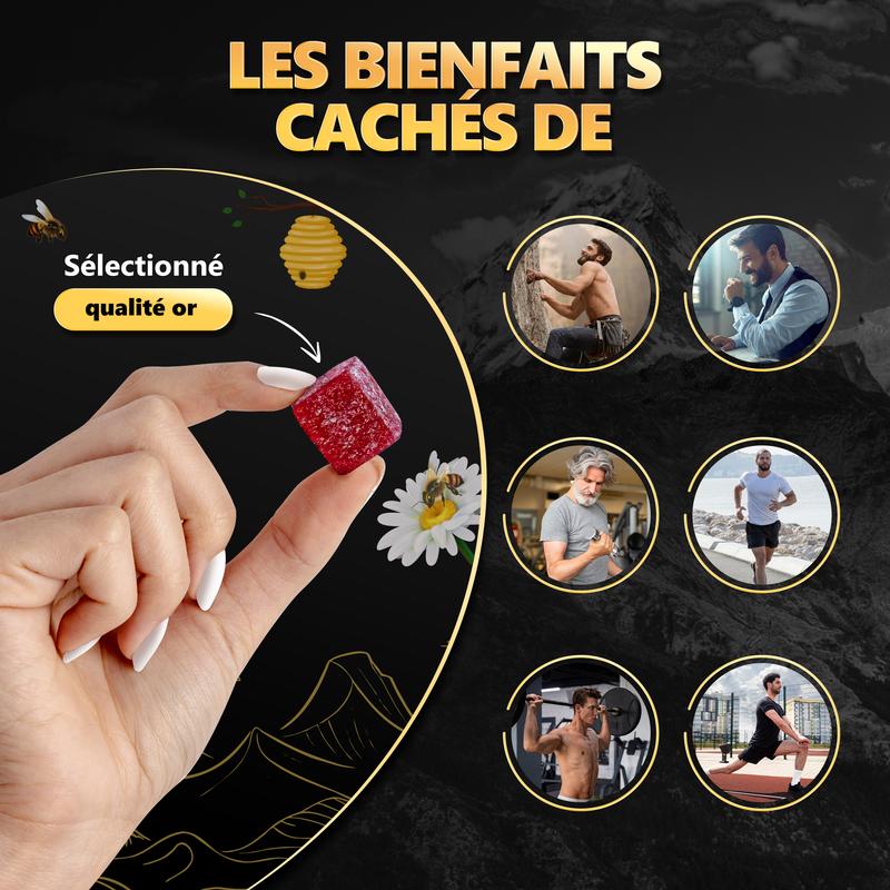 Windboss Gommes de Shilajit Bio – Saveur naturelle de grenade – Sucrées au miel de Manuka – Sans sucre de canne – Formule naturelle et pure – 30 unités